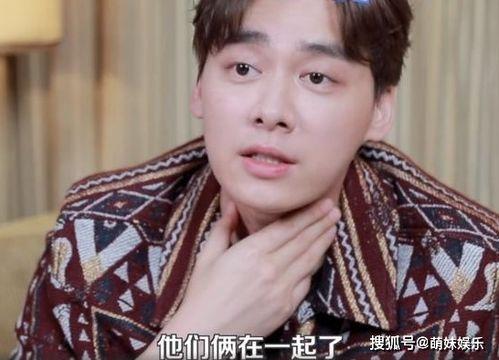 娱乐圈吃瓜王鹤棣,娱乐圈吃瓜王，揭秘明星幕后故事