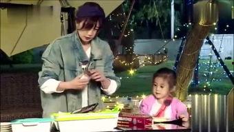 娱乐圈吃瓜呆头鹅,呆头鹅的趣味观察日记