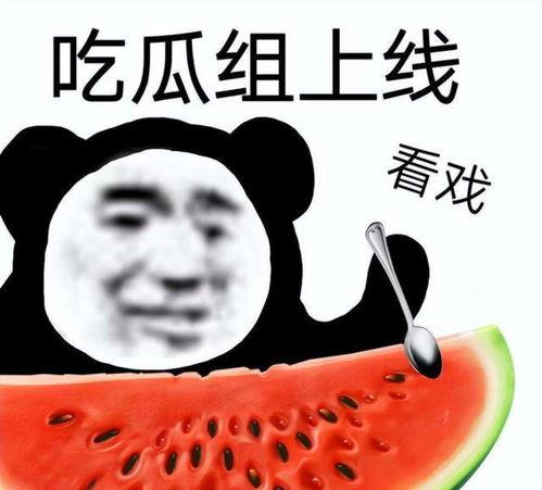 娱乐吃瓜酱读书,揭秘娱乐圈背后的故事与真相