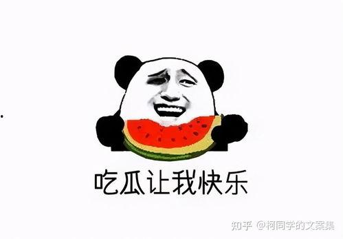 娱乐吃瓜的文案搞笑,笑料百出，吃瓜群众笑翻天！